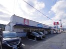 ウエルシア清水興津店(ドラッグストア)まで537m 静鉄バス（静岡市）/新浦安橋 徒歩1分 2階 築36年