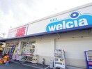 ウエルシア清水下野店(ドラッグストア)まで648m 東海道本線/清水駅 バス14分飯田小学校入口下車:停歩7分 2階 築19年