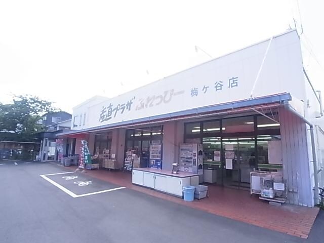 産直プラザふれっぴー梅ヶ谷店(スーパー)まで570m 東海道本線/清水駅 バス15分高部東小学校前下車:停歩6分 1階 築23年