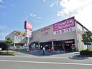 マックスバリュ清水八坂店(スーパー)まで103m 東海道本線/清水駅 徒歩21分 1階 築26年