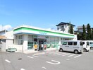 ファミリーマート清水追分店(コンビニ)まで420m 静岡鉄道静岡清水線/桜橋駅 徒歩11分 2階 築23年