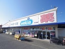ウエルシア清水北脇店(ドラッグストア)まで181m 静岡鉄道静岡清水線/狐ケ崎駅 徒歩17分 2階 築23年