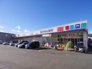 ウエルシア清水高部店(ドラッグストア)まで1280m 東海道本線/清水駅 バス16分山原中下車:停歩2分 2階 築22年