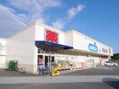 ウエルシア清水小島店(ドラッグストア)まで684m 東海道本線/興津駅 バス18分栗原下車:停歩6分 2階 築14年