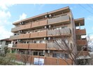 静岡鉄道静岡清水線/桜橋駅 バス:4分:停歩4分 1階 築14年の外観