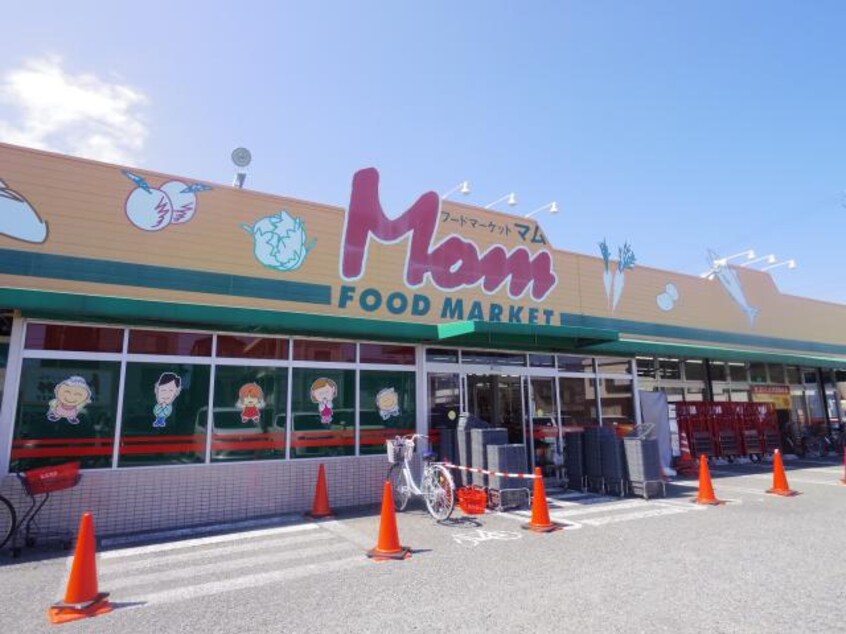 フードマーケットＭｏｍ清水上店(スーパー)まで706m 静岡鉄道静岡清水線/新清水駅 徒歩11分 2階 築29年