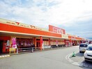 ザ・ビッグ蒲原店(ディスカウントショップ)まで1729m 東海道本線/新蒲原駅 徒歩28分 2階 築24年