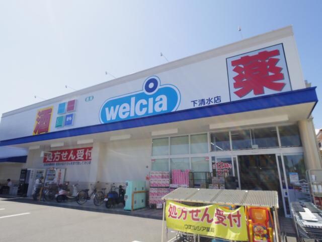 ウエルシア清水下清水店(ドラッグストア)まで210m 東海道本線/清水駅 バス10分梅が岡下車:停歩3分 3階 築12年