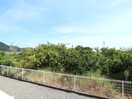  東海道本線/興津駅 バス11分消防学校前下車:停歩2分 1階 築13年