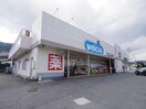 ウエルシア清水八木間店(ドラッグストア)まで399m 東海道本線/興津駅 バス11分消防学校前下車:停歩2分 1階 築13年
