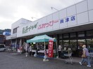 産直プラザふれっぴー興津店(スーパー)まで2312m 東海道本線/興津駅 バス15分消防学校前下車:停歩3分 1階 築12年