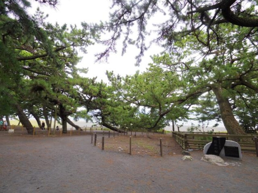 羽衣公園(公園)まで1510m 静岡鉄道静岡清水線/新清水駅 バス18分西折戸下車:停歩4分 2階 築12年