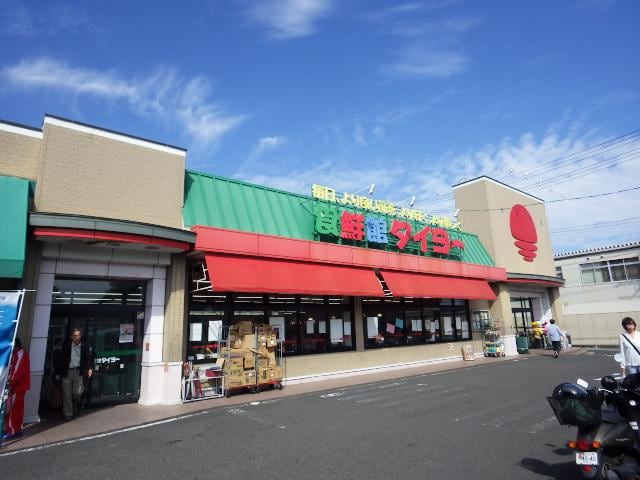 食鮮館タイヨー二の丸店(スーパー)まで882m 静岡鉄道静岡清水線/桜橋駅 徒歩12分 2階 築40年