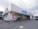 ウエルシア清水八木間店(ドラッグストア)まで704m 東海道本線/興津駅 バス12分谷津下車:停歩1分 1-2階 築11年