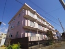 静岡鉄道静岡清水線/新清水駅 バス:5分:停歩4分 2階 築31年の外観