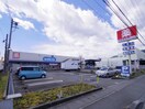 ウエルシア清水庵原店(ドラッグストア)まで1193m 東海道本線/清水駅 バス14分下野下車:停歩10分 3階 築10年