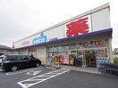ウエルシア富士岩淵店(ドラッグストア)まで2719m 東海道本線/新蒲原駅 徒歩23分 1階 築8年
