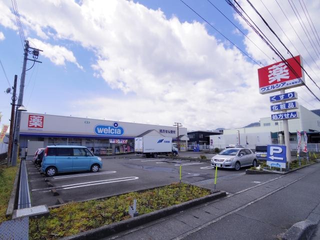 ウエルシア清水庵原店(ドラッグストア)まで305m 東海道本線/清水駅 バス15分神明橋北下車:停歩6分 2階 築8年