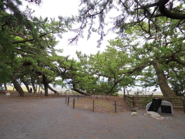 羽衣公園(公園)まで1161m 静岡鉄道静岡清水線/新清水駅 バス20分白浜町下車:停歩13分 1階 築37年