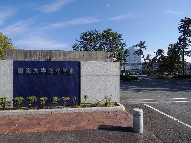 東海大学海洋学部(大学/短大/専門学校)まで900m 静岡鉄道静岡清水線/新清水駅 バス19分東折戸下車:停歩8分 2階 築6年