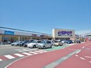 業務スーパーエスポット清水天王店(スーパー)まで548m 東海道本線/清水駅 バス15分押切下車:停歩5分 2階 築4年