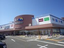 マクドナルド清水ベイドリーム店(ファストフード)まで2532m 静岡鉄道静岡清水線/新清水駅 バス20分白浜町下車:停歩10分 1階 築2年