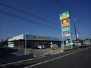 杏林堂薬局清水三保店(ドラッグストア)まで880m 静岡鉄道静岡清水線/新清水駅 バス18分折戸車庫下車:停歩5分 1階 築38年