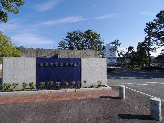 私立東海大学海洋学部(大学/短大/専門学校)まで265m 静岡鉄道静岡清水線/新清水駅 バス18分折戸車庫下車:停歩5分 1階 築38年