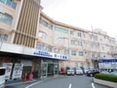 社会保険桜ヶ丘総合病院(病院)まで1063m 静岡鉄道静岡清水線/桜橋駅 徒歩8分 2階 築2年