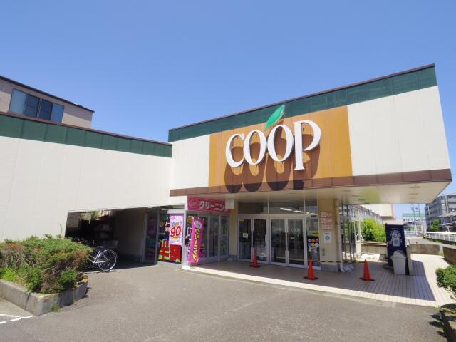 ユーコープ八千代店(スーパー)まで396m 静岡鉄道静岡清水線/入江岡駅 徒歩20分 2階 築1年