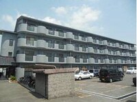 アンセスター91