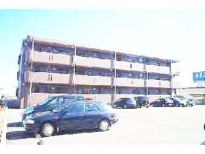 ＳＵＮ　ＳＥＥＤＳ