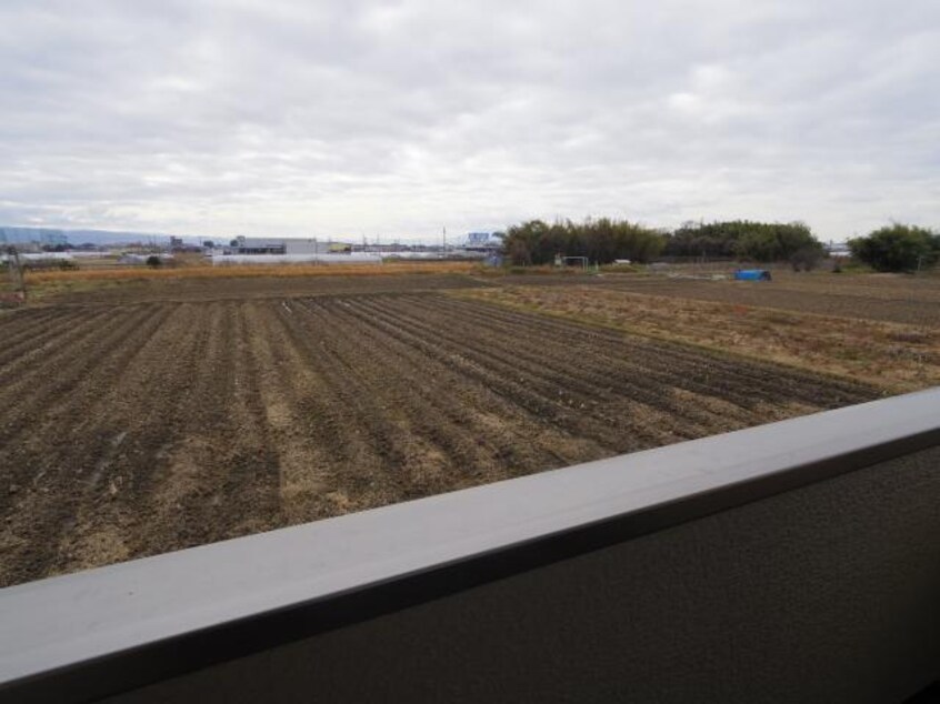  大和路線・関西本線/郡山駅 徒歩25分 2階 築6年