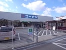 コーナンＰＲＯ三条大路店(電気量販店/ホームセンター)まで1075m 近鉄難波線・奈良線/新大宮駅 徒歩4分 2階 築3年