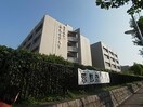 国立奈良女子大学(大学/短大/専門学校)まで319m 近鉄難波線・奈良線/近鉄奈良駅 徒歩11分 1階 築1年