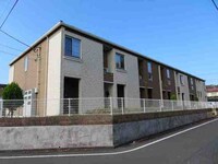 アムール　琴　Ⅲ