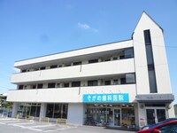ヴェルドミール
