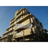 エレガンスチトセ