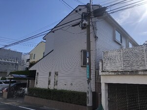 ベルドリームⅡ