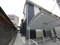 カエルラマリス