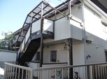 メ－プル