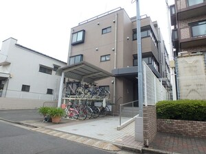 マルメラータ