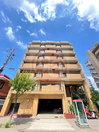 ハイクオリティアドニス