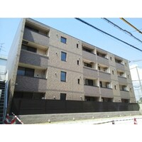 フェリス　ウィステリア