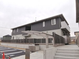 シャンティ・フィールド