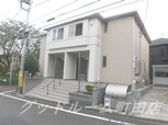 サンフラワー