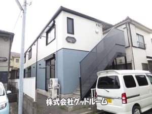 スコーレアジサイ