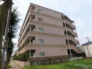 サンフラワーＫ
