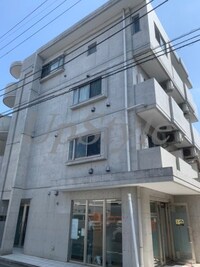 キャンファー・トゥリー