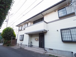 チェリーブロッサム